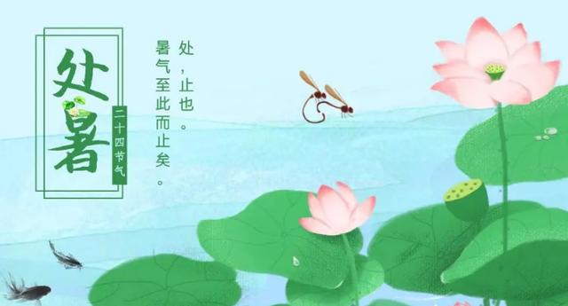 老话说处暑吃一肉百病绕道走，别忘了“吃1肉2菜