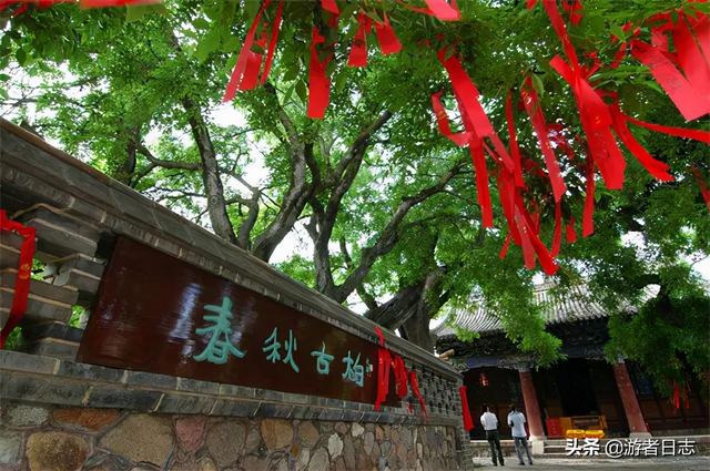 甘肃天水苹果有什么特色，隐藏在西北的水果王国