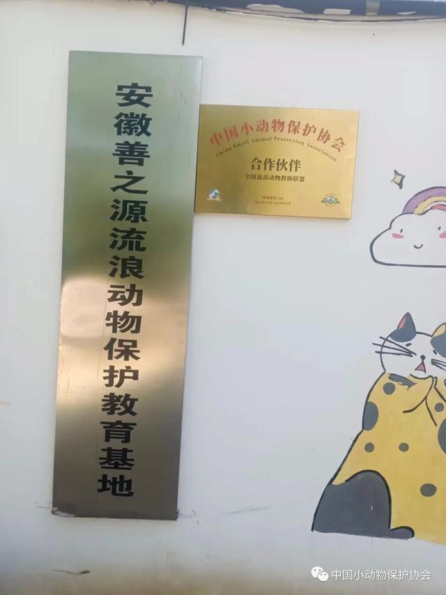 流浪动物救助站，流浪动物救助站统计（爱心人士反映四川江油流浪动物救助站动物生存环境恶劣）