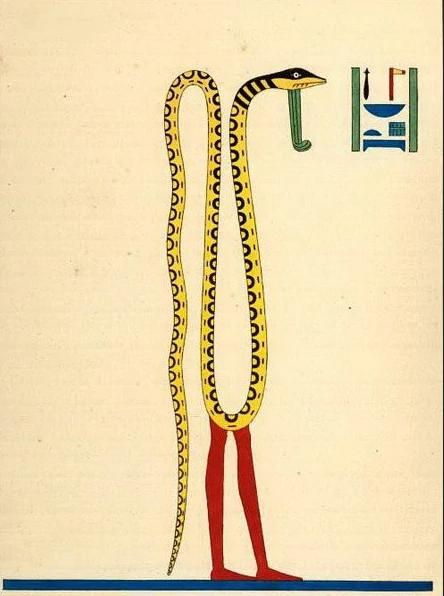 阿波菲斯是哪个国家的神话人物，世界文明神话的四大巨蛇