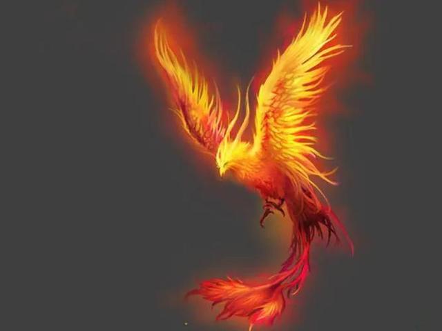 优美段落摘抄200字，优美语句摘抄