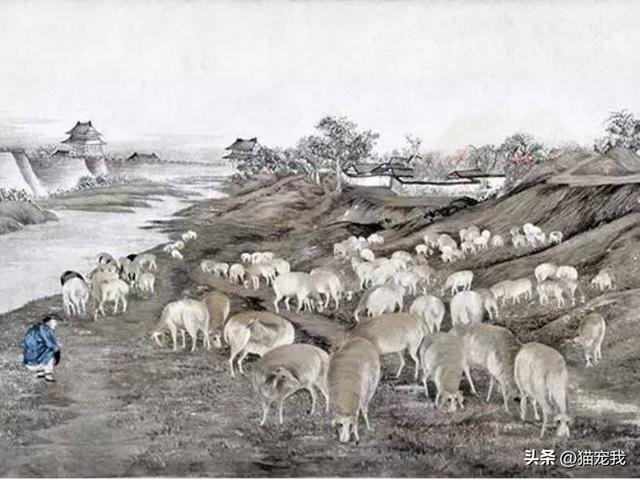 张謇生平简介，化蛹成蝶：张謇和他的南通