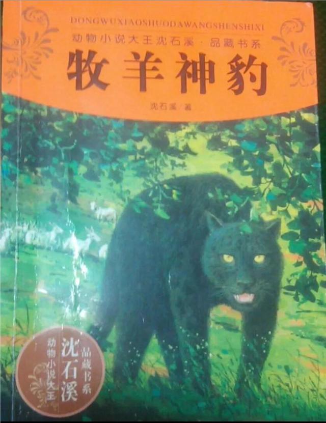 沈石溪的书有哪些，沈石溪最好看的书是什么（认识和热爱神奇的动物王国）