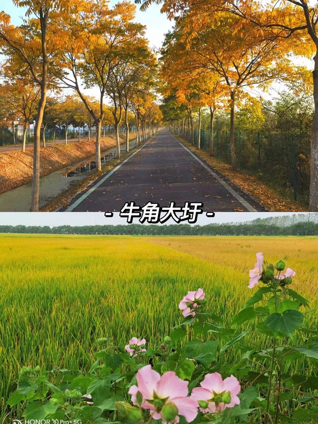 合肥周边哪些城市适合自驾游，长丰一日游景点自驾游攻略