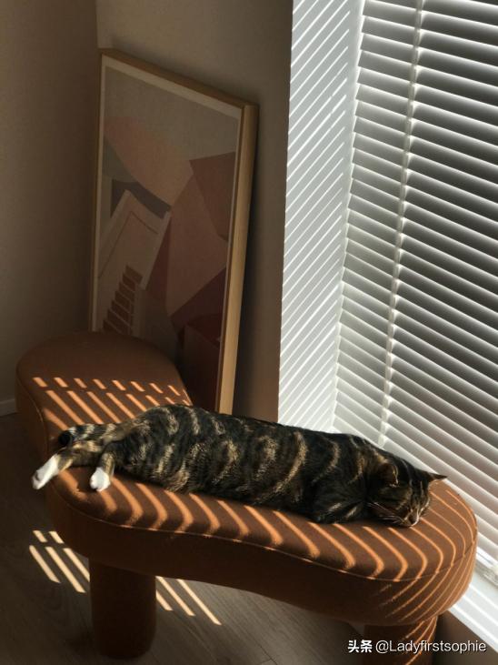 大开间一居室如何布置，110㎡只做一居室