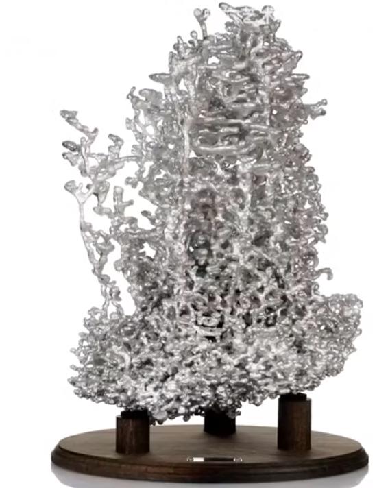 世界上最大的蚂蚁，世界上最大的蚂蚁在哪里生长（世界上最大的蚂蚁公牛蚁）