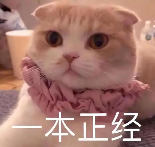 如何拯救卡粉的粉底液，CB拍拍隔离精华液轻松摆脱浮粉