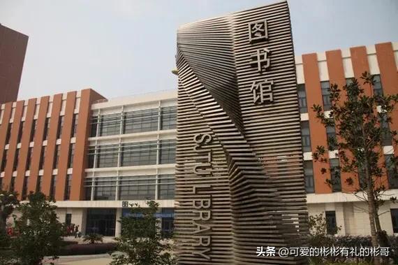 上海交大农学院，上海交通大学的工科学科排名