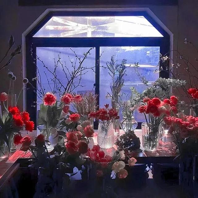 背景图ins风，ins风背景图——我们的夏天