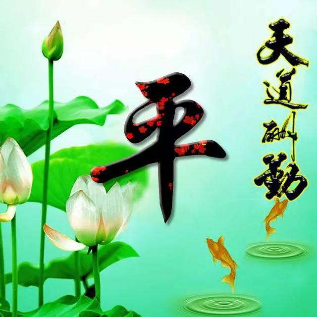 荷花头像图片大全，荷花头像高清图