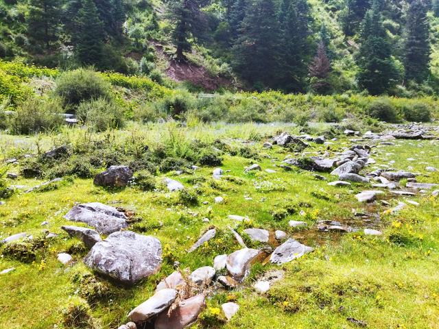 四川稻城旅游攻略自由行，新都桥鱼子西稻城亚丁