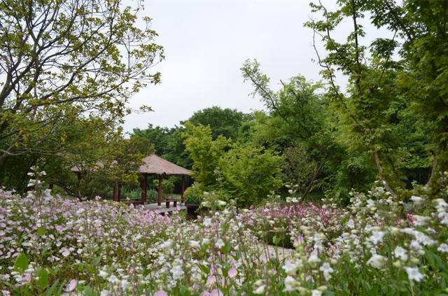 茅山风景区华阳洞，你想要的田园生活来了