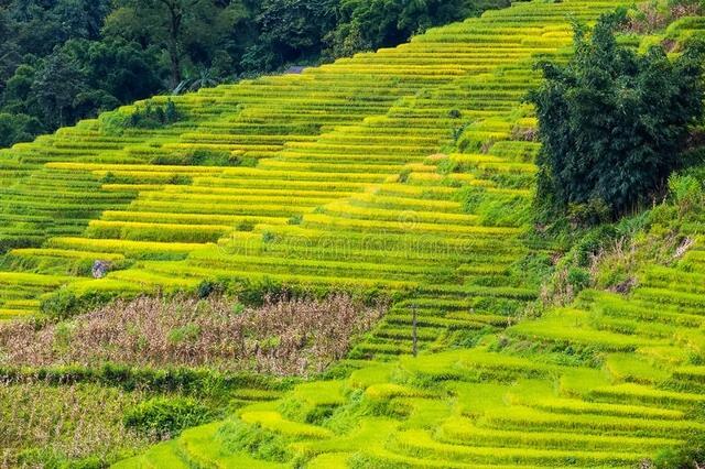 湖南风土人情与文化简介，20个有关湖南的冷知识