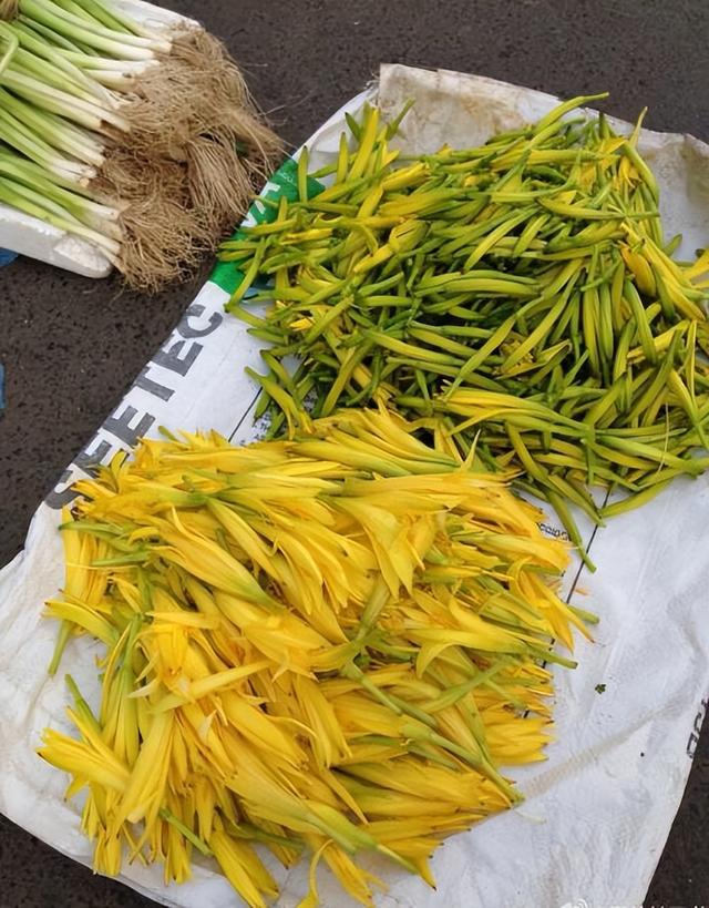 农村常见的花，凌巧分享篇41——这15种生活中常见的野花