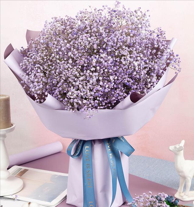 蓝色满天星图片，各种花的名称以及花语