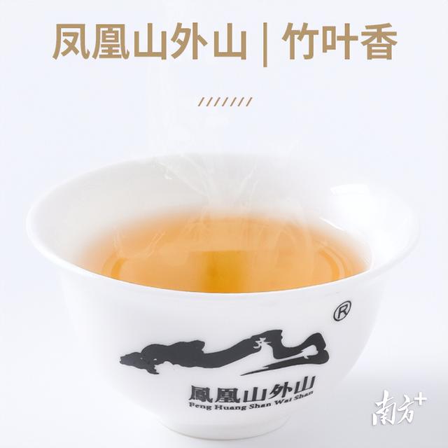 潮州凤凰单丛茶，最后一批潮州凤凰单丛茶（如何品鉴凤凰单丛）