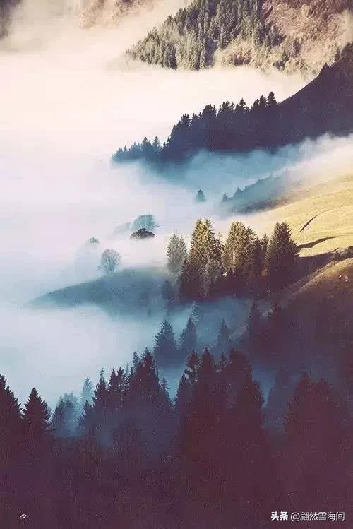 十大著名的诗人排名，写诗最出名的6位