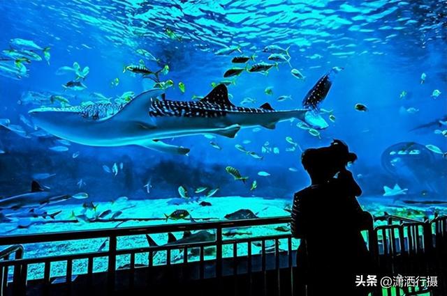 青岛海滨风景区，青岛海滨风景区游（20℃，海滨走起！）