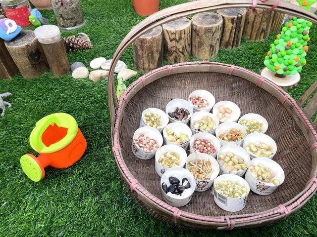 幼儿园自然角在线研讨，小小自然角春意盎然中