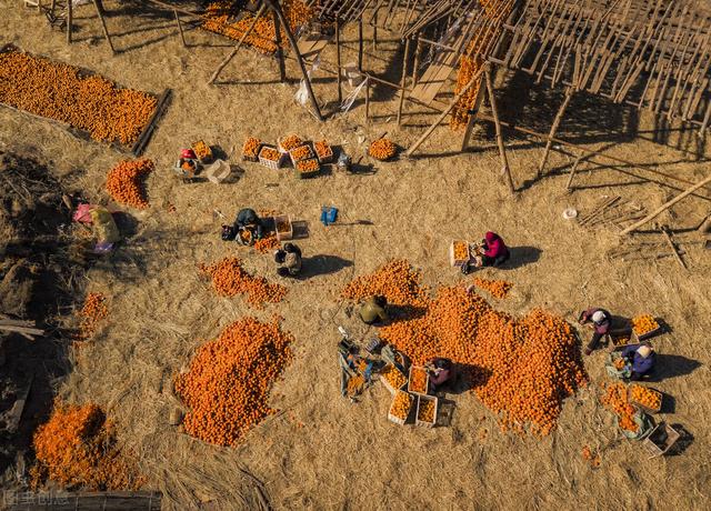 地球上最后一个人，地球上最后一个人怎么活下去（谁将是地球上最后一个生物）