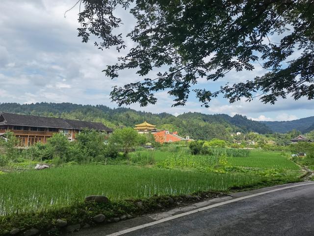 贵州铜仁梵净山，贵州铜仁梵净山风景区攻略（贵州省铜仁市梵净山风景区）