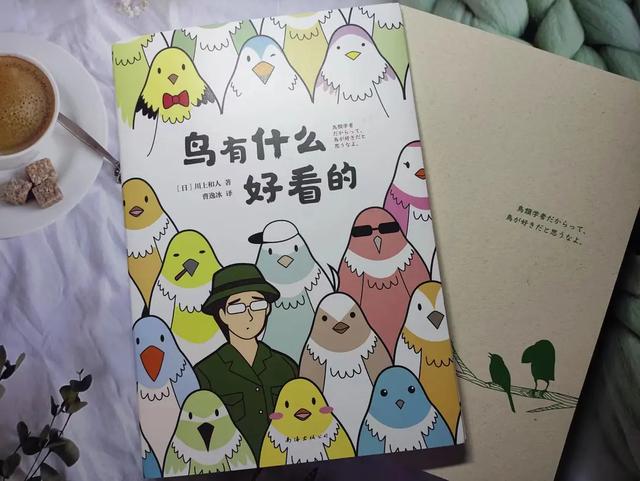 10种好看的鸟，这8种造型又漂亮又好养