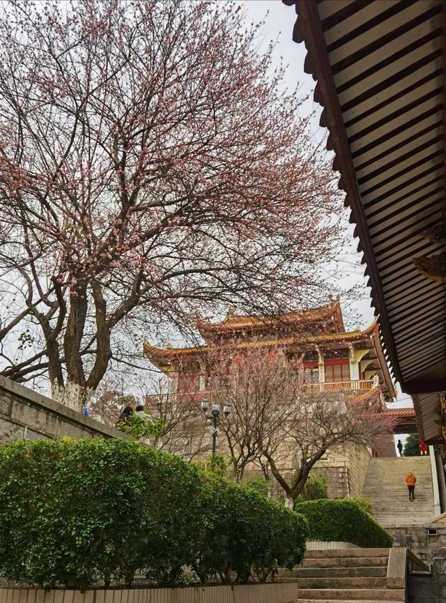 莆田普陀山在哪，莆田普陀山风景区