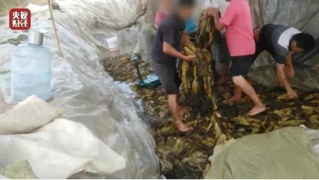 康师傅和统一都有问题吗，让人愤怒的不止脚踩酸菜