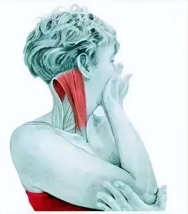 10分钟懒人拉伸训练动作，这6组33个拉伸动作绝了