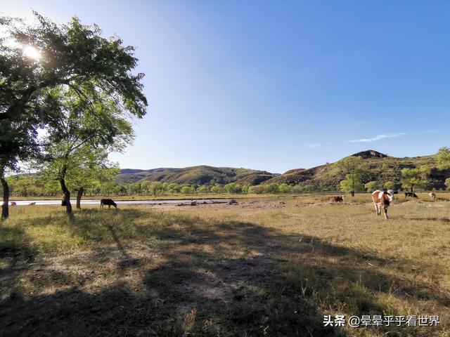 朱棣死在榆木川，朱棣驾崩处——榆木川