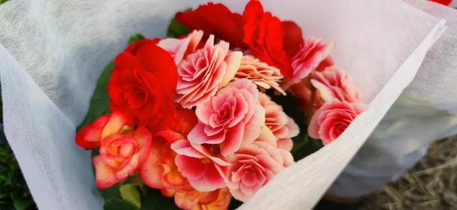 年货大集门头，年货大集一网打尽