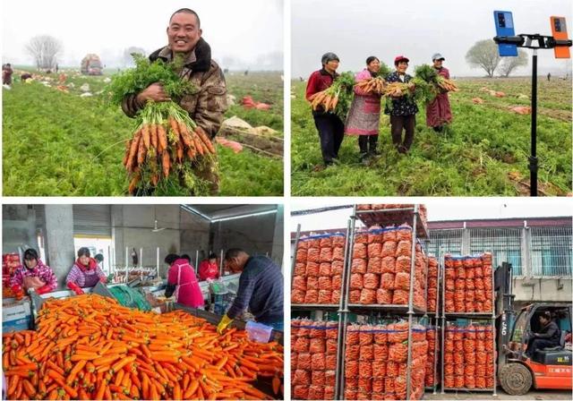 第21届安徽省摄影艺术展入选证书，“安徽·镜像——安徽省摄影作品展”在杭启幕