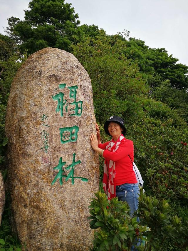 关于深圳梧桐山简介，深圳之巅——梧桐山