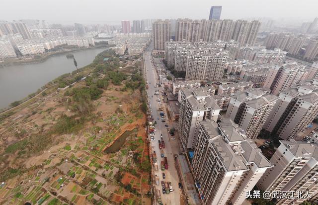 武汉 各区城镇人口，城区人口数据——湖北篇