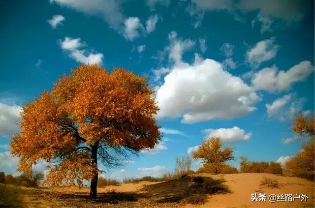 都是什么地方有戈壁滩，大部分人都没见过这样的戈壁滩