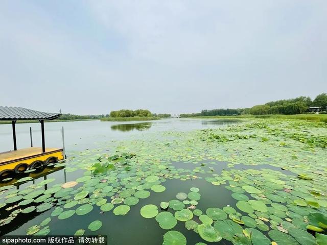 湿地公园值得一游，这几个免费的湿地公园景色宜人