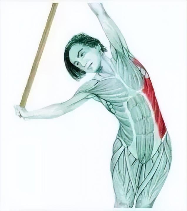 10分钟懒人拉伸训练动作，这6组33个拉伸动作绝了