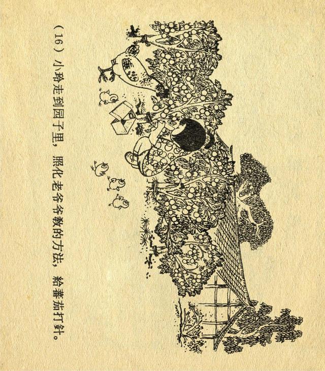 50年代少儿题材连环画，老版经典连环画宝水