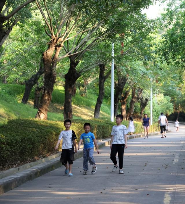 广州绿道田园景点，博罗这些高颜值绿道等你来打卡