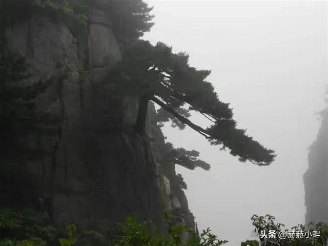 登黄山而天下无山，古诗词，朱彦《游黄山》