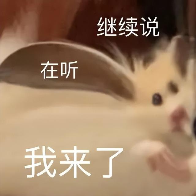 小仓鼠动态迷你表情包，变形脸仓鼠可爱老鼠