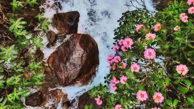 西昌三日游最佳路线，四川旅游攻略景点必去三日游
