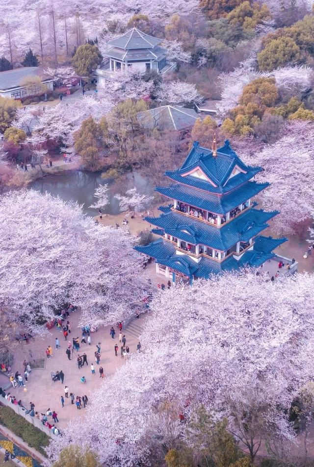 春天最适合旅行的地方，我在这3个地体验到了