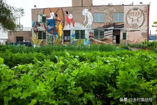 菜园与花园的设计，成就田园生活的食材花园