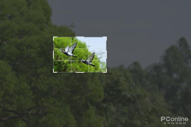 尼康微单相机推荐z9，入手旗舰全画幅相机