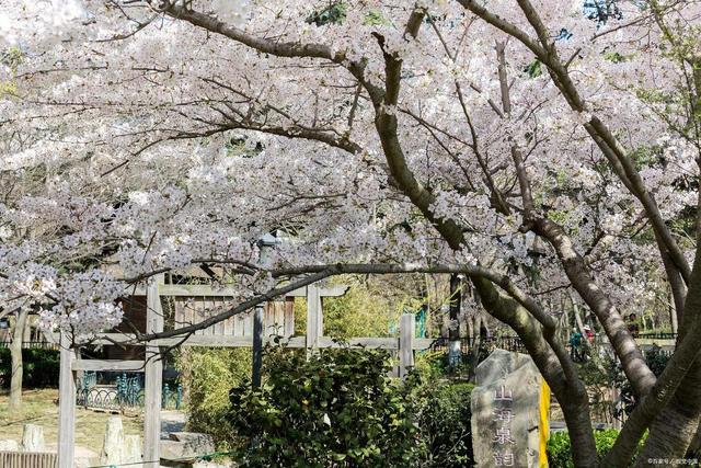 青岛一日游攻略，青岛旅游攻略一日游推荐