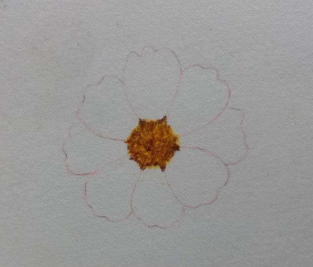 怎么画好看又漂亮的小花，分步骤教你画一朵好看的小花