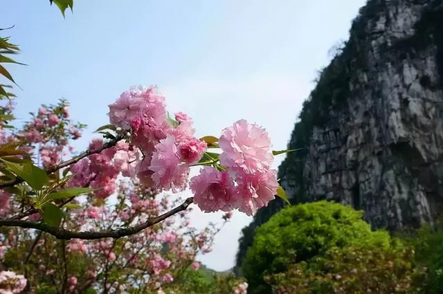 春天最适合旅行的地方，我在这3个地体验到了