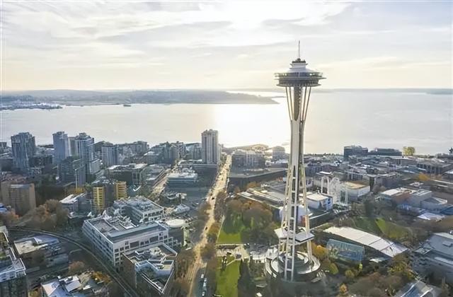 nba黄蜂队有哪些球员，NBA球队中山猫黄蜂