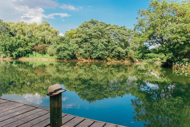 夏天给人的感受就是炎热，这个夏天真的很热